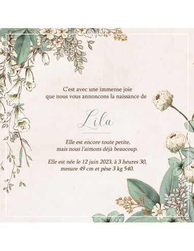 Faire-part Naissance Illustration...