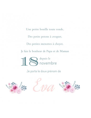 Faire-part Naissance Raton Laveur -... Faire-part Naissance Raton Laveur -...