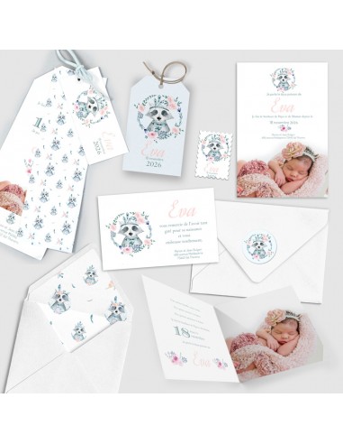 Faire-part Naissance Raton Laveur -...