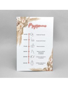 Carton Programme Pampa...