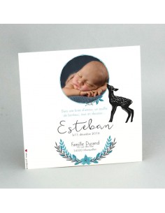Faire-Part Naissance Magnet...