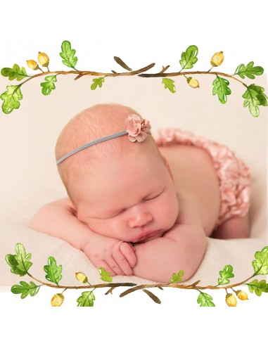 Faire-part Naissance petit Renard -... Faire-part Naissance petit Renard -...