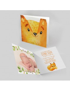 Faire-part Naissance petit...