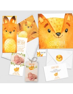 Faire-part Naissance petit... 2