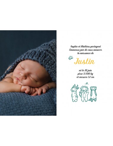 Faire-part Naissance Animaux -...
