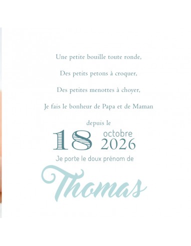 Faire-part Naissance Panda -... Faire-part Naissance Panda -...