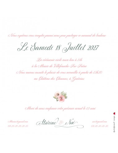 Faire-part numérique plantes grasses...