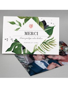 Remerciements Jungle -...