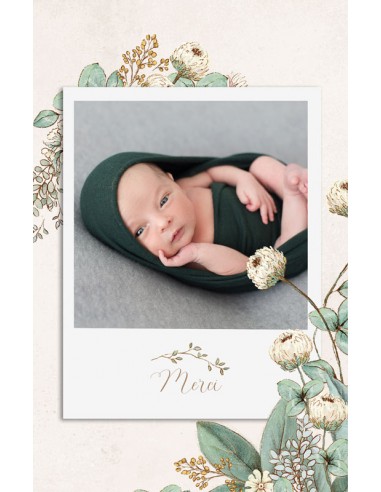 Remerciements Naissance Illustration...