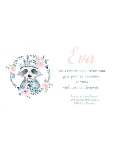 Remerciements Naissance Raton laveur... Remerciements Naissance Raton laveur...