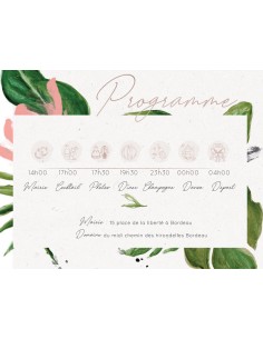 Carton Programme jungle -... 2