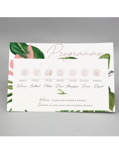 Carton Programme jungle -...