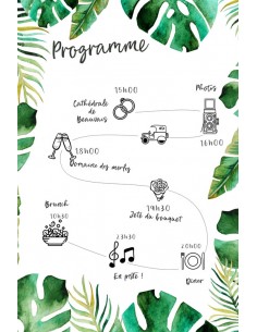 Carton Programme exotique -... 2