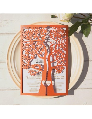 Echantillon Pochette POC0150