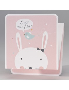 Faire-part Naissance lapin...