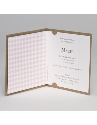 Faire-part Naissance cerf-volant fille Faire-part Naissance cerf-volant fille