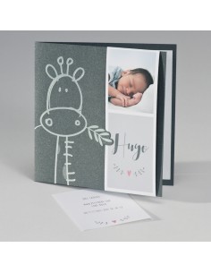 Faire-part Naissance garçon...