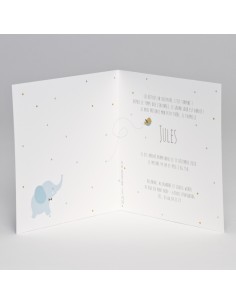 Faire-part garçon Naissance... 2