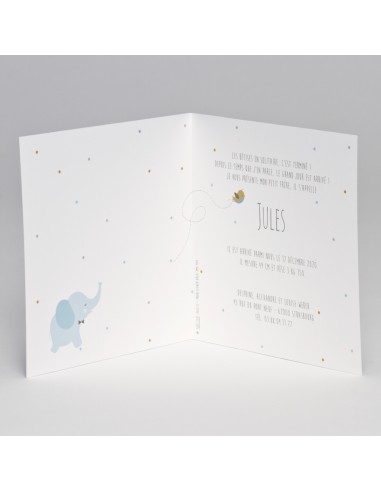 Faire-part garçon Naissance bleu avec... Faire-part garçon Naissance bleu avec...