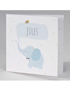 Faire-part garçon Naissance...