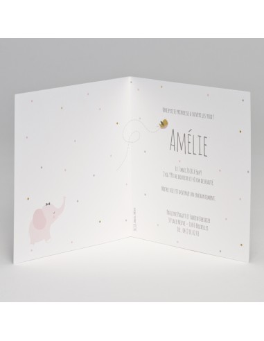 Faire-part fille Naissance rose avec...