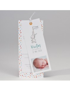 Faire-part Naissance deux...