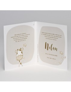 Faire-part Naissance mixte... 2