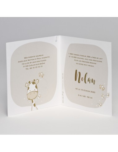 Faire-part Naissance mixte avec girafe Faire-part Naissance mixte avec girafe