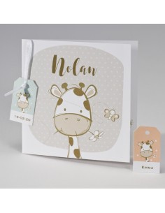 Faire-part Naissance mixte...