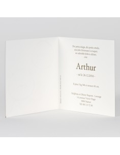 Faire-part Naissance mixte... 2