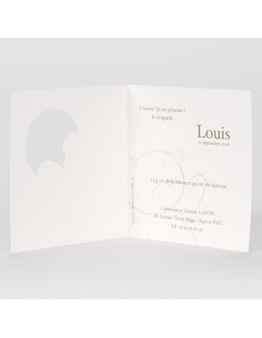 Faire-part Naissance mixte ourson