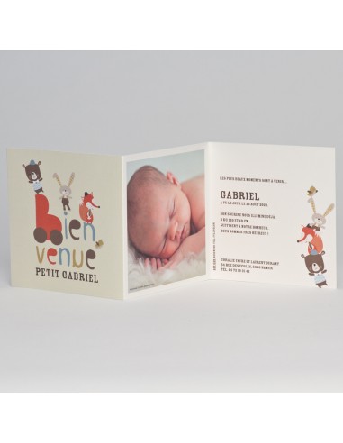 Faire-part Naissance garçon animaux