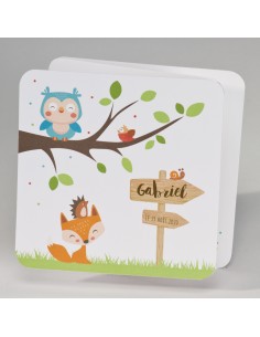 Faire-part naissance mixte...