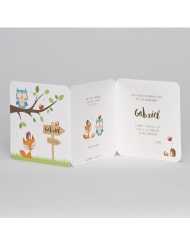 Faire-part naissance mixte animaux de... Faire-part naissance mixte animaux de...