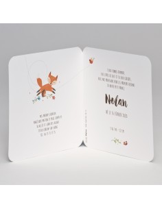 Faire-part Naissance mixte... 2