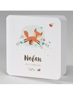 Faire-part Naissance mixte...