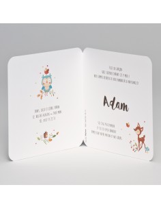 Faire-part Naissance mixte... 2