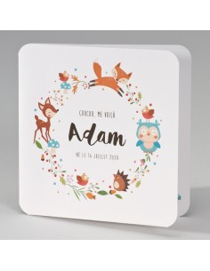 Faire-part Naissance mixte...