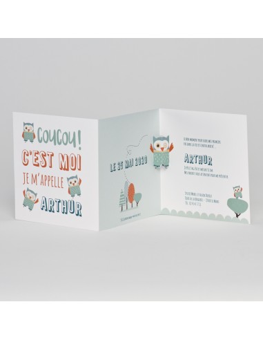 Faire-part Naissance hibou avec pliage
