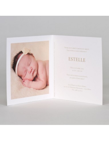 Faire-Part Naissance Feuillage Dorure
