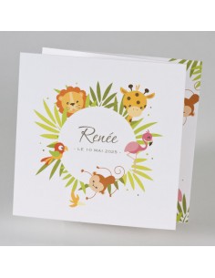 Faire-Part de Naissance...