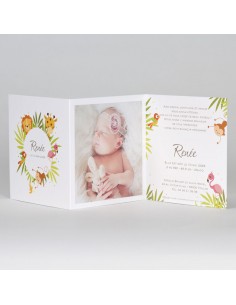 Faire-Part de Naissance... 2