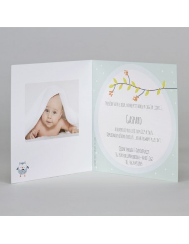 Faire-Part Naissance garçon hibou