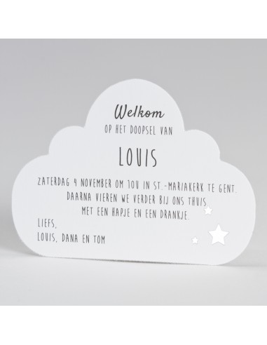 Faire-Part Naissance jumeaux avec... Faire-Part Naissance jumeaux avec...