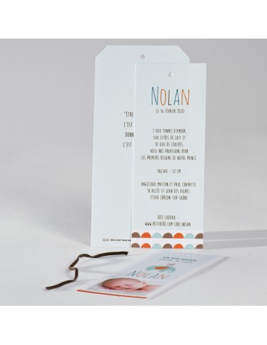 Faire-Part Naissance garçon éléphant...