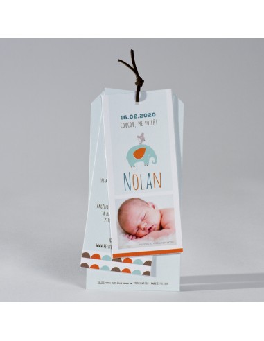 Faire-Part Naissance garçon éléphant...