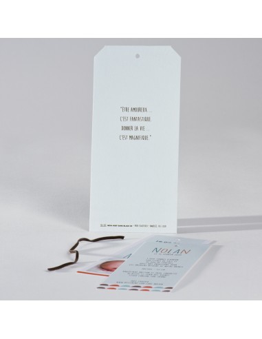 Faire-Part Naissance garçon éléphant...