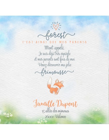 Pack Faire-part Naissance Famille de...