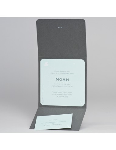 Faire-Part Naissance étoile et oiseau... Faire-Part Naissance étoile et oiseau...