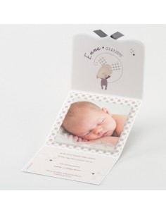 Faire-Part Naissance souris... 2